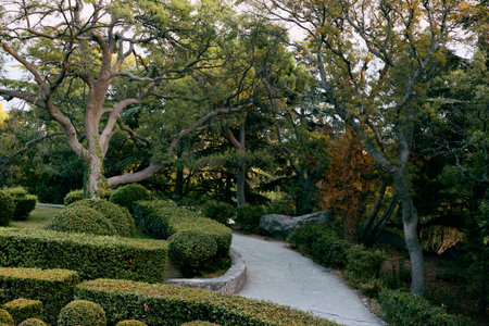 Tranquil park setting with walkway leading to tree in the center surrounded by lush greenery