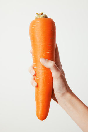 Fresh orange carrot held in hand on white background with empty space in frontの写真素材