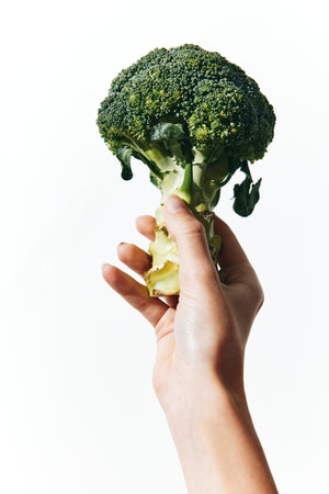 Person holding up broccoli on white background, with copy of broccoli in handの写真素材