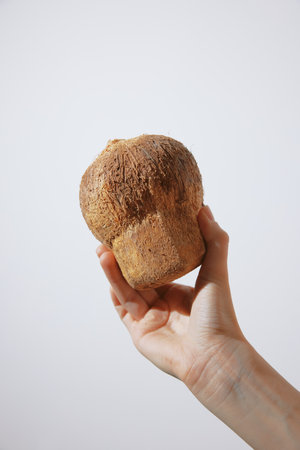 A hand holding a piece of bread in front of a white background, with a close up of the hand