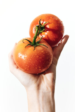 Fresh ripe tomatoes with water droplets held by a hand on a white backgroundの写真素材