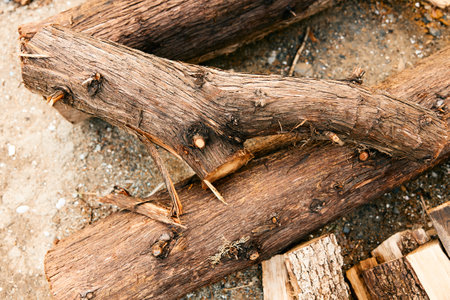 stacks of logs and firewood piled up in a rustic outdoor settingの写真素材