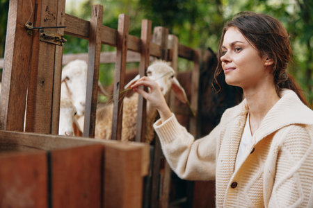 A woman in a sweater petting a sheep in a fenced in pen with a fence in the backgroundの写真素材