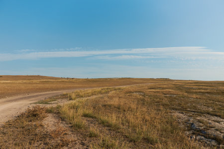 Scenic dirt road through lush field under blue sky, perfect for travel, adventure, and exploration...