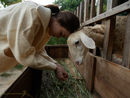 A woman petting a sheep in a pen with a wooden fence in the background