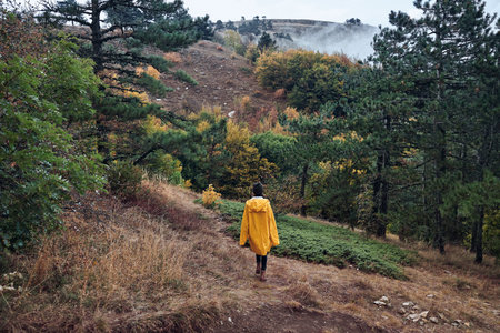 A person wearing a yellow raincoat walking on a trail in the serene woods with majestic mountains in the backgroundの写真素材