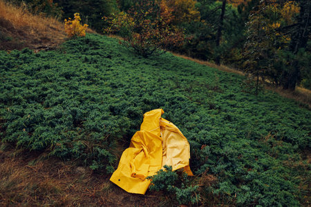 Solitude and Serenity A Tranquil Moment of Contemplation Atop the Hill