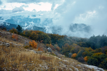 Scenic Mountain Landscape with Trees and Clouds under a Dramatic Cloudy Sky A Serene Nature Retreat for Adventure and Travel enthusiastsの写真素材