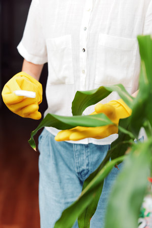 Woman in yellow gloves holding leafy plant in front of window in room with white walls and wooden...