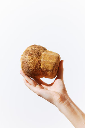 Person holding coconut on white background with copy space for text or logoの写真素材