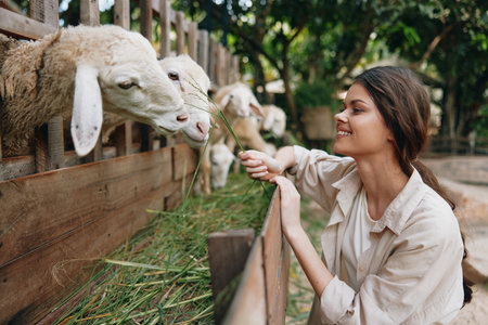 A woman petting a sheep in a pen with her hand on its headの写真素材