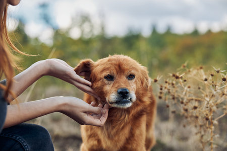 Woman bonding with pet dog in scenic field surrounded by lush green grass and treesの写真素材