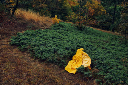 Solitary figure in yellow raincoat contemplating nature while sitting on forested hillside during a rainy dayの写真素材