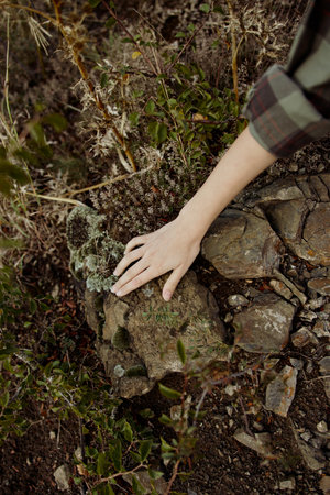 Exploring the Serene Beauty of Nature A Hand Reaching for a Rock in a Field