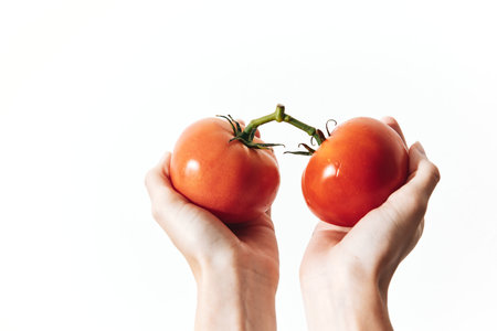 Two hands holding two tomatoes in front of a white background, with space for message or logoの写真素材