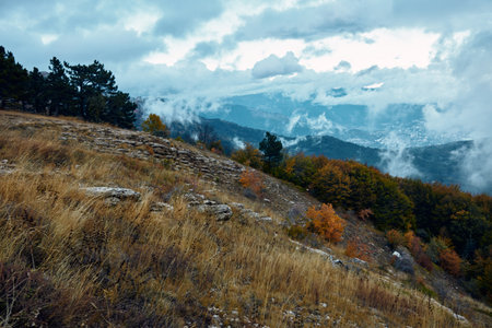 Serenity of Nature Majestic Mountain Range with Dramatic Clouds, Trees, and Grass in Foregroundの写真素材