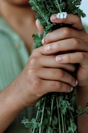 Closeup of person holding vibrant green plants creating a fresh and trendy botanical display