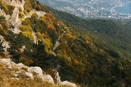Scenic hillside with trees overlooking a winding road in a tranquil natural setting