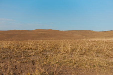 Clear blue sky over countryside landscape with no clouds in sight, perfect for travel and nature conceptsの写真素材