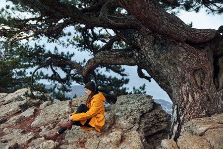 A Woman in a Yellow Coat Relaxing by a Majestic Pine Tree in Natures Beautyの写真素材