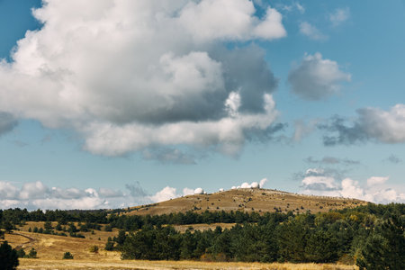 Landscape of Serene Field with Trees, Rolling Hills, and Cloudy Sky Tranquil Nature Scene for Travel and Relaxation Imageの写真素材