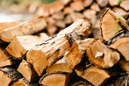 stack of wood labeled with wood against lush forest backdrop, symbolizing natural resources and...