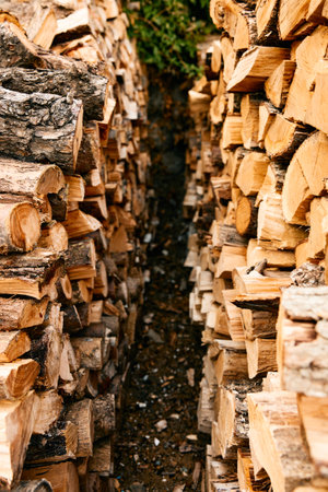 stacks of firewood in a rustic forest setting ready for winterの写真素材