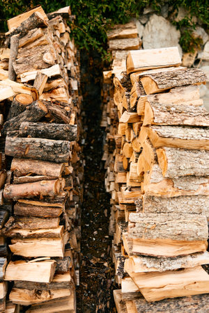 neatly stacked woodpile ready for winter pile of firewood for cozy nights by the fireplaceの写真素材