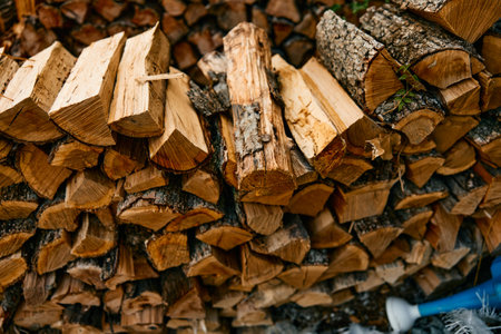 stack of firewood beside blue hose and bucket in outdoor setting