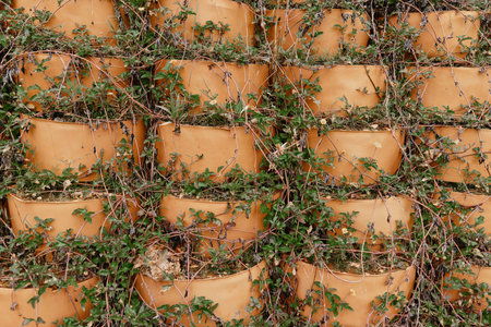 Beautiful arrangement of terracotta pots covered with greenery, showcasing a vibrant natural pattern perfect for gardening themes and outdoor decorの写真素材