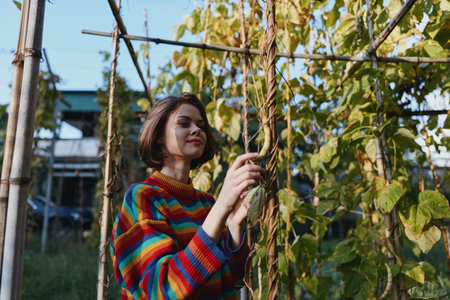 Young adult woman in a colorful sweater smiling while gardening among vine trellis, short hair bob,...