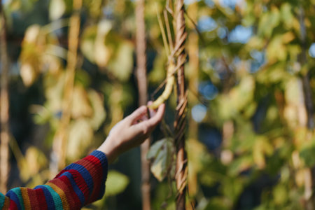 Woman hand in striped sweater gently touching a climbing vine in a sunlit forest, young adult in casual outfit exploring nature with curious, tactile mood for lifestyle travel.の写真素材
