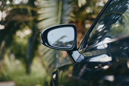 car side mirror black car tropical outdoor palm trees reflection closeup with glossy paint, adult driver unseen, casual outfit in car, travel lifestyle scene with warm golden hour atmosphereの写真素材