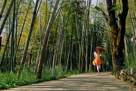 Bamboo woman path forest running dress nature sunlight. A woman in an orange skirt runs along a shaded gravel path through tall bamboo, motion and peaceful green scenery on a summer day.の写真素材