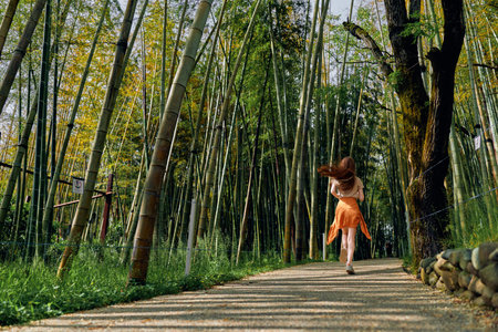 Bamboo woman dress hat path forest running sunlight: back view of a woman in an orange summer dress and straw hat running along a shaded gravel path through towering bamboo forest with dappledの写真素材