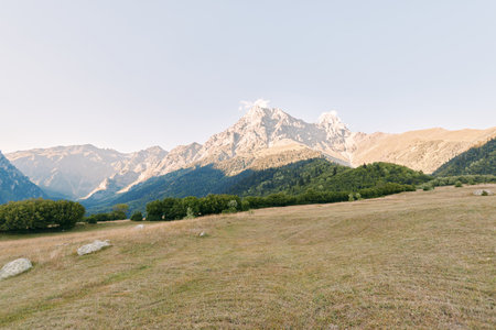Mountain meadow field with dry grass and alpine peak in background, wide nature landscape under...