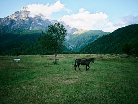 Horse grazing in a meadow with a lone tree, bench, and distant mountains under a clear sky, a...