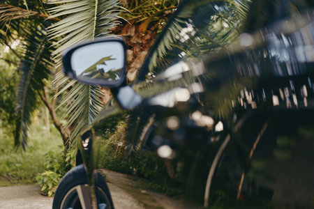 Car side mirror, palm tree and reflection on a black car parked on a tropical outdoor driveway, wheel visible, glossy paint and warm late afternoon sunlight create travel mood.の写真素材