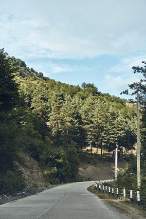 Winding road cuts through a lush forest landscape, tall trees lining the pavement and distant hills...