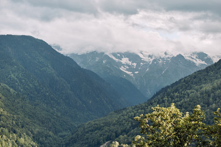 Majestic mountains overlook a deep valley with dense forests and misty air, clouds cling to the peaks, producing a serene expansive natural landscape with wide opennessの写真素材