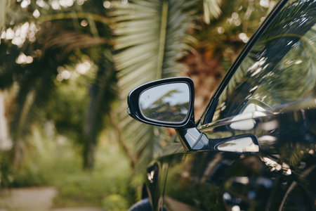 Car side mirror of a black car parked by palm trees in a tropical outdoor travel scene, glossy reflection and summer vibe closeup suggesting a leisure road trip vacation.の写真素材