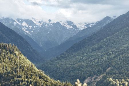 Mountains valley forest and snow peaks under cloudy sky panoramic landscape