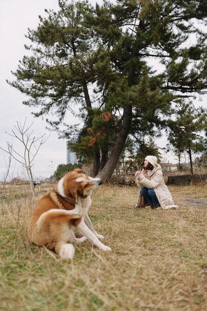 Dog portrait in a park as a photographer kneels to capture the moment, trees in the background, casual outdoor scene highlighting companionship, nature, and candid photography.の写真素材