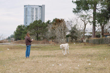 Dog, owner and a calm afternoon in an open field with a distant city building. A person and dog...