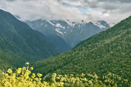 Mountains valley forest clouds peaks landscape nature scenery trees hills with sky and distant...