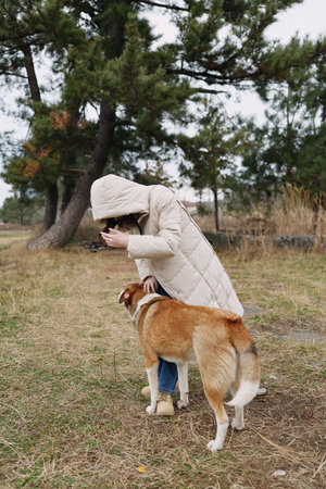 Dog and person share a quiet outdoors moment, a warm winter coat embracing them as they greet in a...