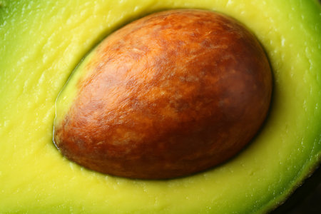 Avocado, close-up, macro shot, shallow depth of fieldの素材