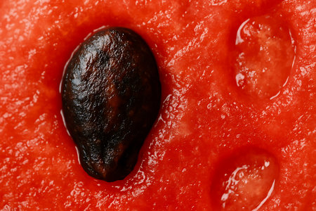 Watermelon pulp with seeds as background, top view. Closeupの素材