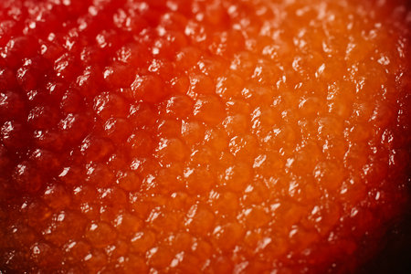 Red caviar as a background. Macro. Selective focus. Toned.の素材