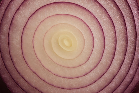 Sliced red onion on a white background. Toned.の素材
